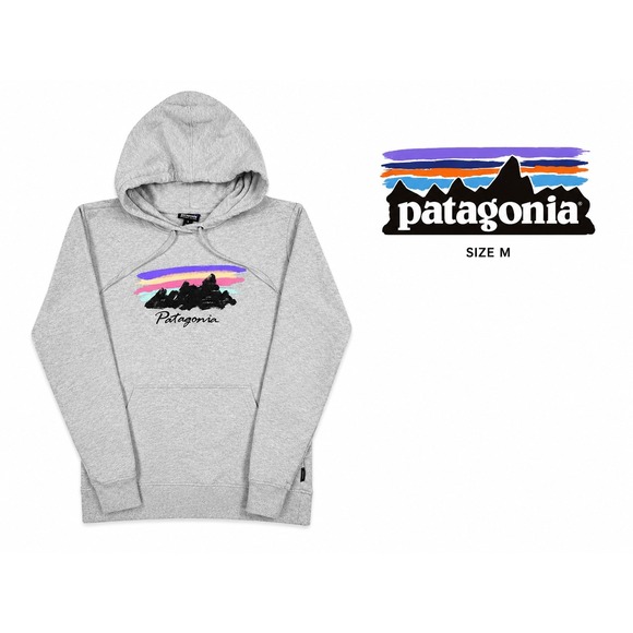 Patagonia Tops - Patagonia Free Hand Fitz Roy Ahnya Hoody Gray Organic Cotton Hoodie Women's M